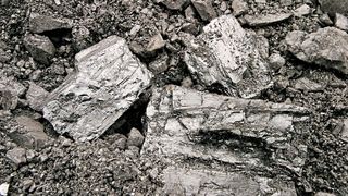 Mit Öl kontaminiertes Schüttgut aus dem pneumatischen Förderprozess (Bild: Aerzen)