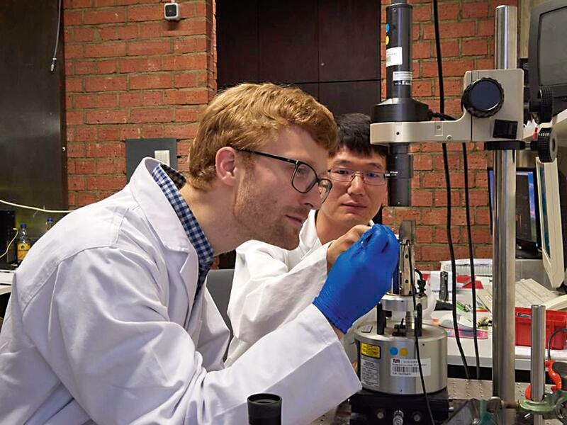 Jonas Pfisterer und Yunchang Liang forschen mit dem Rastertunnelmikroskop im Labor der Arbeitsgruppe von Prof. Bandarenka an der TU München. (Wenzel Schürmann/TUM)