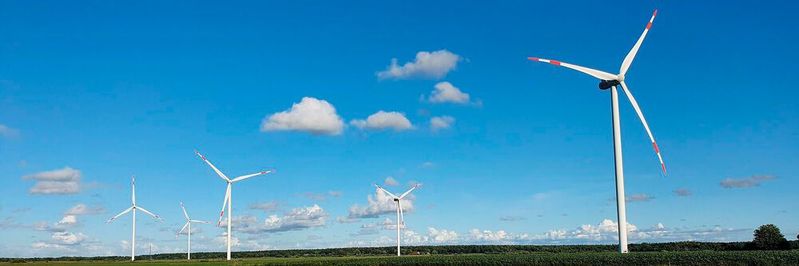 Die vielen Windkraftanlagen sieht Northvolt als klaren Standortvorteil in Schleswig-Holstein.(Bild:  frei lizenziert /  Pixabay)