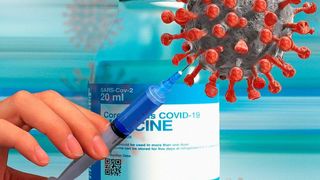 Wissenschaftler der Universität Würzburg arbeiten mit einem Pharmaunternehmen an einem neuartigen Ansatz zur oralen Impfung gegen das Coronavirus. (gemeinfrei)