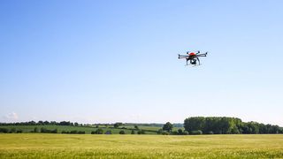 Die Technologie zur automatisierten Bilderkennung kann, beispielsweise unterstützt von Drohnen, die Art und Menge von Pflanzen, Schädlingen und Krankheiten in Gewächshaus- und Feldversuchen erkennen. (BASF)