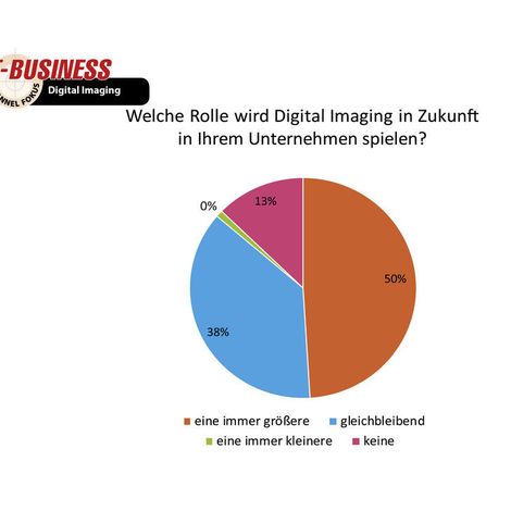 IT-BUSINESS-Panel: Digital Imaging (IT-BUSINESS)