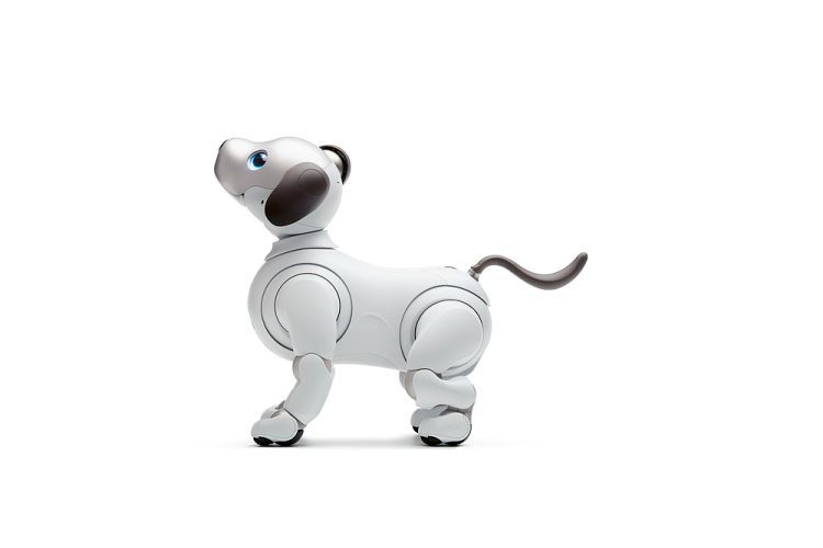 Red Dot Produktdesign 2018: Unterhaltungsroboter aibo von Sony, Japan – Der Unterhaltungsroboter aibo ist den Nutzern ein Gefährte, den sie erziehen und lieben können. Dank AI-Technologie entwickelt er sich zu einem eigenständigen Wesen, das Verbindungen zu Menschen herstellt. In der Anmutung eines Welpen mit funktionaler Ästhetik ist er mit 22 Antriebspunkten ausgestattet, die realistische Ausdrucksmöglichkeiten erlauben, z. B. Bewegungen von Kopf, Schwanz, Ohren, der Hüften oder Bellen. Trotz seiner Komplexität wirkt aibo mit seinen fließenden, weichen Kurven einfach und natürlich. Begründung der Jury: In dem Unterhaltungsroboter aibo gehen modernste Robotertechnologie, überlegtes Design und emotionale Eigenschaften eine höchst beeindruckende und überzeugende Symbiose ein.   (Bild: Red Dot/Sony)