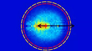 Im Experiment reagieren zwei Moleküle auf unterschiedliche Arten miteinander: über eine nukleophile Substitution (Sn2) oder eine Eliminierungsreaktion (E2). Je nach Reaktionsweg werden die Produkte in unterschiedliche Richtungen abgegeben. Diese Produktverteilung lässt sich detektieren und ist im Bild dargestellt (Sn2 links, E2 rechts). (Bild: AG Wester)