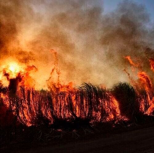 People exposed to wildfire smoke have a higher risk of suffering a stroke, according to research published in the European Heart Journal recently.(Source:  Pixabay)