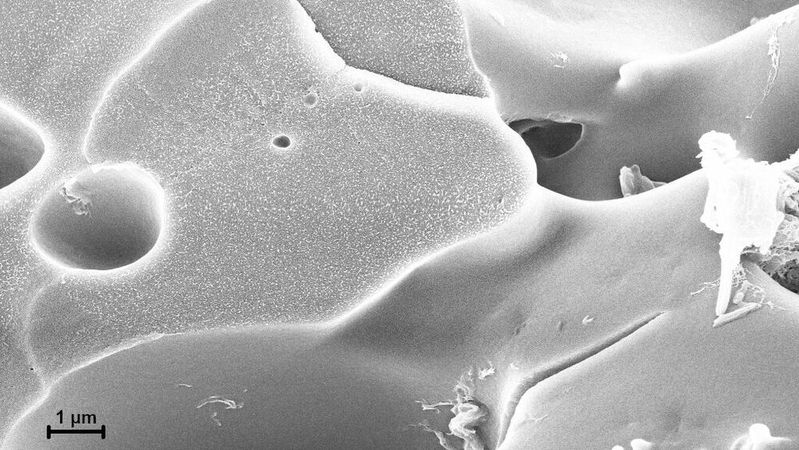 Konstanzer Forscher haben ihren Mineralkunststoff (Aufnahme per Rasterelektronenmikroskop), den man immer wieder neu formen kann, jetzt entscheidend verbessert. Er ist jetzt nachweislich biologisch durch Mikroorganismen, wie sie im Waldboden vorkommen, abbaubar.(Bild:  Avasthi et al.)