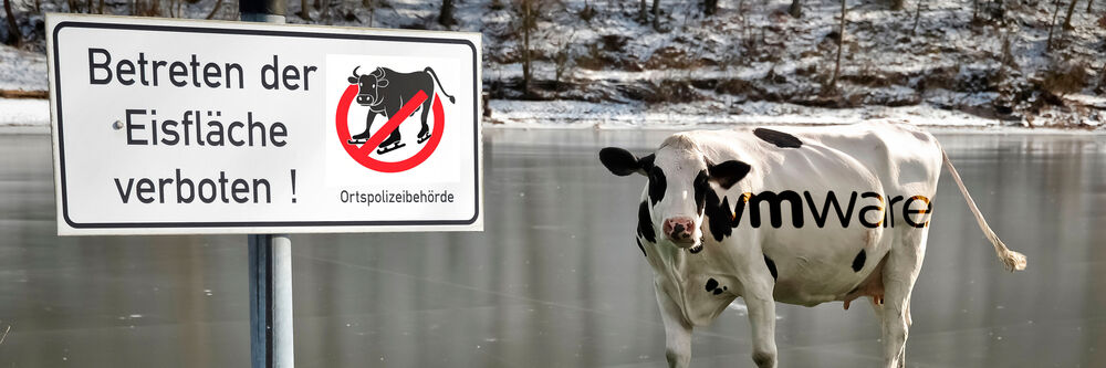Die Kuh Vom Eis Holen Lizenzproblematik: Die VMware-Kuh vom Eis holen