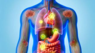 By identifying which proteins are involved in the body’s response, the researchers could then predict potential health outcomes of prolonged fasting by integrating genetic information from large-scale studies.  (Source: AI generated/ Dall-E)