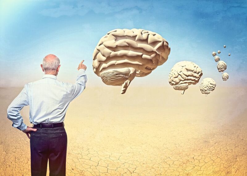 In der 1000-Gehirne-Studie untersuchen Forscher die Alterung des menschlichen Gehirns. (Symbolbild) (©tiero - stock.adobe.com)