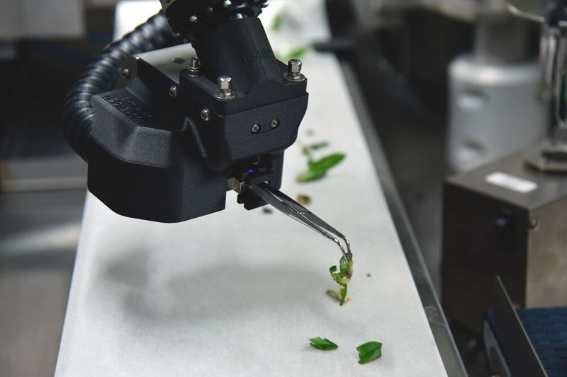 Wachstumsmarkt Pflanzenvermehrung: Mit Ro-Bo-Cut künftig lokal, effizient und nachhaltig.  (Bild: Kawasaki Robotics)