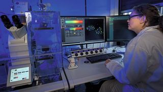 Sophia Meermeyer von der Ruhr-Universität Bochum untersucht am Mikroskop eine Zellkulturprobe. (Roberto Schirdewahn)