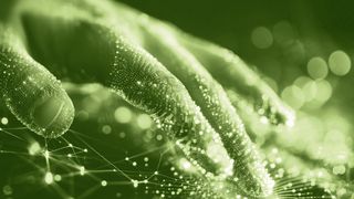 adobestock-719377613-1258x707v1 (Bild: Ян Заболотний – stock.adobe.com)