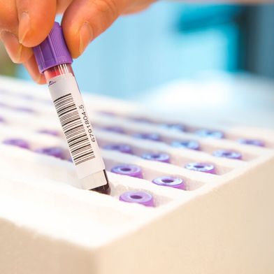 Viele Studienergebnissen lassen sich nicht replizieren – also nicht originalgetreu bestätigen. Das kann für die Wissenschaft zum Glaubwürdigkeitsproblem werden. (Bild: © benjaminnolte - stock.adobe.com)