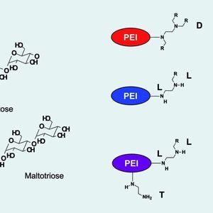 1	 Struktur der Polyelektrolyte, die für die Stabilisierung der Goldpartikel verwendet wurden.
