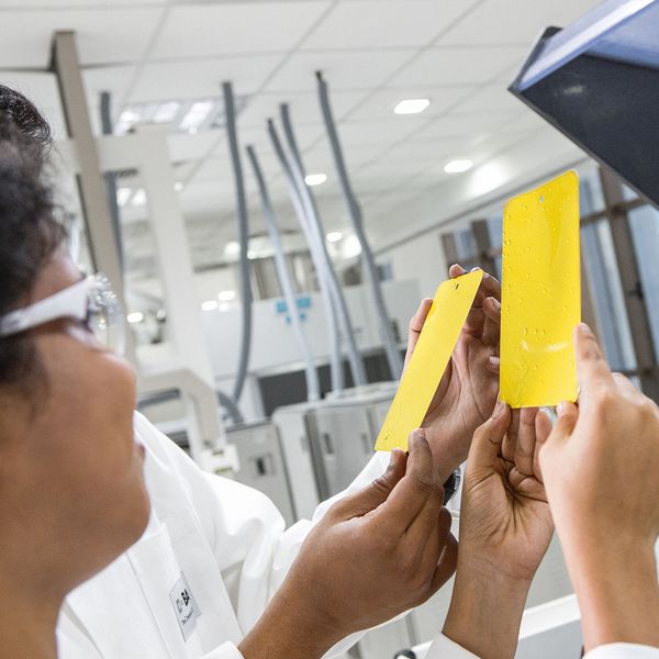 Test specimens drawn from the humidity cabinet are being compared to evaluate their long-term durability in coating applications. In the humidity cabinet, the painted panels are exposed to controlled humidity environment. (Picture: BASF / Detlef W. Schmalow)
