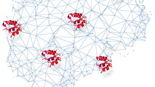 Brain_Amyloid_____A___proteins ()