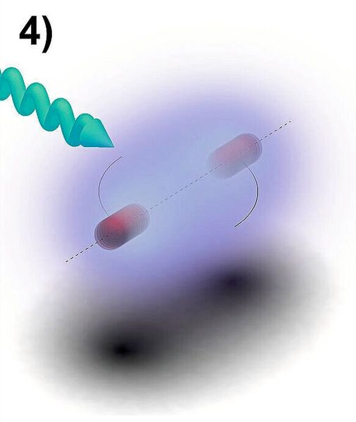 Ablauf der Spektroskopie: 4) Ein Lichtpuls eines zweiten Lasers wird eingestrahlt. Unter Absorption eines Photons wird das Molekül gespalten. (Bild: HHU / Magnus Roman Schenkel)
