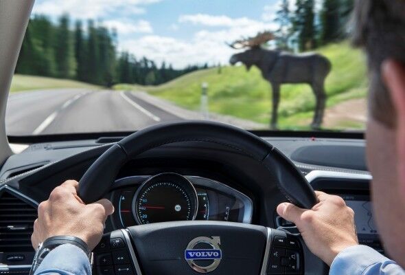 Im Testzentrum AstaZero lassen sich alle typischen, alltäglichen Verkehrssituationen darstellen, z.B. eine Landstraße mit Elch. (Bild: VOLVO)