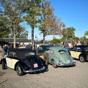 Startaufstellung zur ersten Ausfahrt. Nicht wenige der Teilnehmerfahrzeuge haben eine DDR-Vergangenheit.(Bild:  Peter Diehl)
