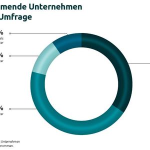Fast die Hälfte der befragten Unternehmen haben 10 bis 29 Mitarbeitende. (Bild: Synaxon)