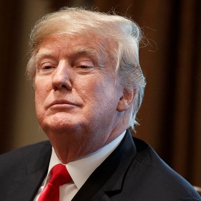 Nach anfänglicher Verwirrung, scheint es mit den Zöllen auf Waren aus Mexiko und Kanada in wenigen Tagen ernst zu werden, wie Donald Trump sagt. Mexiko will beschwichtigen und liefert Drogenbarone aus. Doch die US-Wirtschaft knickt seit Ende letzten Jahres ein ... (Bild: W.P.)