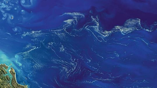 Satellitenbild einer Trichodesmium-​Blüte im Südpazifik nordöstlich von Australien.(Bild:  NASA Earth Observatory)