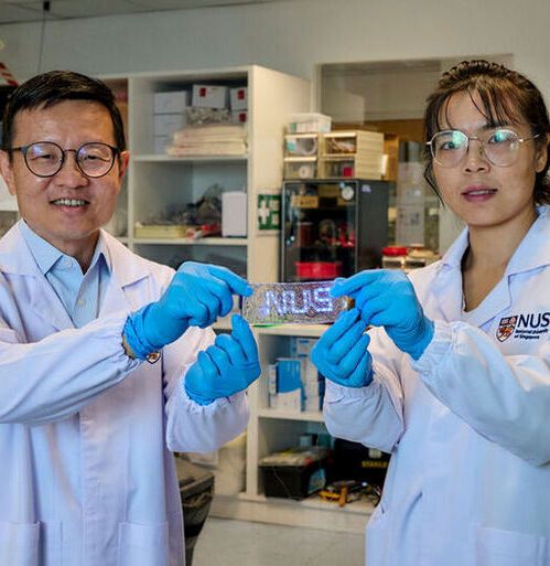 Prof Lim Chwee Teck (left), Dr Chen Shuwen (right) and their team have developed a novel liquid-metal material (held by the researchers) suitable for making flexible and unbreakable circuitry for stretchable electronics. Prof Lim Chwee Teck (left), Dr Chen Shuwen (right) and their team have developed a novel liquid-metal material (held by the researchers) suitable for making flexible and unbreakable circuitry for stretchable electronics.