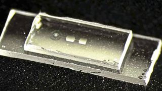 The quantum chip developed at ETH Zurich contains so-called mechanical resonators—tiny components that begin to vibrate when storing information. The chip is about 7.5 millimeters long, 2.5 millimeters wide, and 1 millimeter high (approx. 0.30 by 0.10 by 0.04 inches), roughly as wide as a small fingernail. (Image: Hybrid Quantum Systems Group / ETH Zurich)