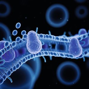 (©Sebastian Kaulitzki - stock.adobe.com)