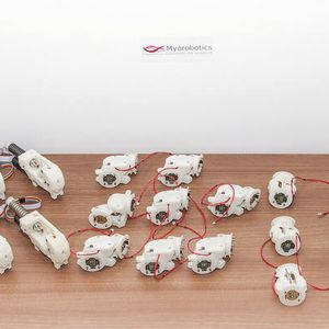 Die vom Fraunhofer-IPA entwickelten Komponenten eines Myorobotics-Systems (v.l.): die Muskeln, Gelenke und Knochen.