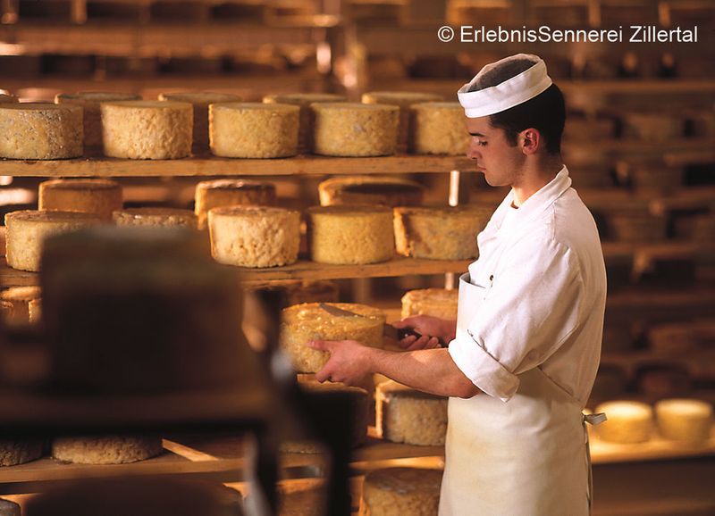Das Unternehmen wollte ein Leitsystem, das alle Produktions- und Reinigungsprozesse abbildet und eigenständige Produktionsbereiche wie Abfüllanlagen und Käsepressen mit einbindet. (ErlebnisSennerei Zillertal)