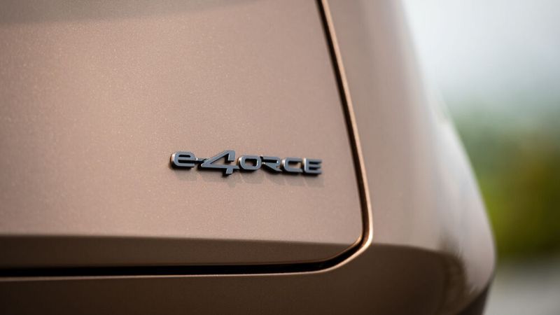 Das Allrad-Modell gibt es nur mit großer Batterie, aber in zwei Leistungsstufen. (Bild: Nissan)