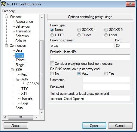 Abbildung 7:  Die Verbindung über einen Proxy-Server ist ebenfalls möglich. Durch erneuten Programmstart können mehrere  unterschiedliche Sitzungen mit PuTTY durchgeführt werden. (Archiv: Vogel Business Media)