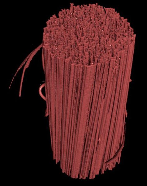 Dreidimensionale Phasenkontrast-Bildgebung einer multifibrillaren Polyacrylnitrilfaser (MLU / Juliana Martins)