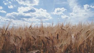  (Archiv: Vogel Business Media)