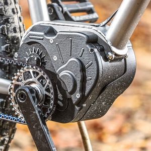 (GOOD-SHOOT.COM / Reygondeau / Valeo)