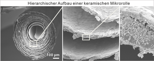Rasterelektronenmikroskopische Aufnahmen des Querschnitts einer 2 mm × 25 mm großen keramischen Mikrorolle.(Bild:  IMW / Universität Stuttgart)