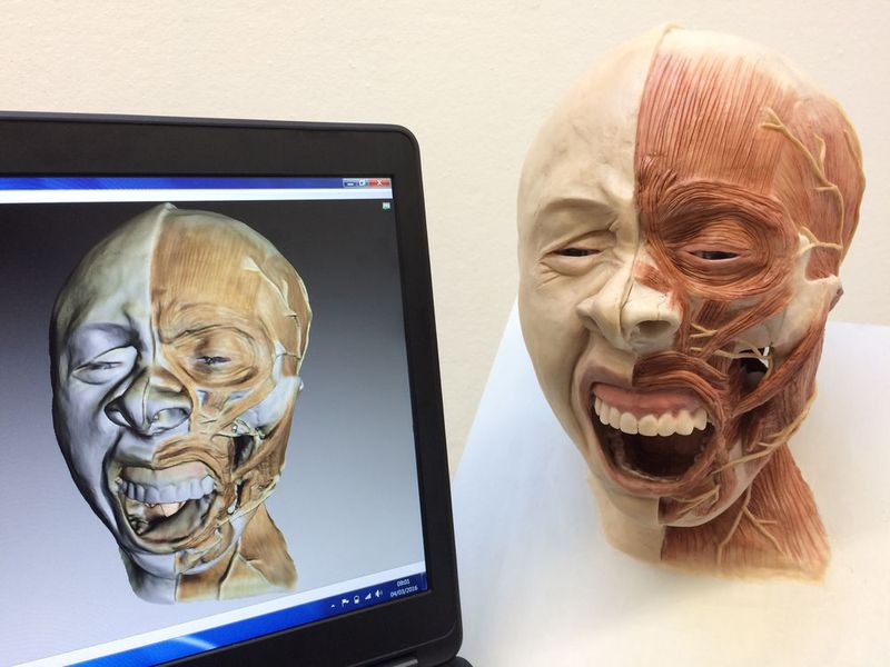 Scan einer Studentenarbeit im Masterstudiengang Forensic Art (Abbildung eines Gähnens) in Artec Studio (Artec 3D)