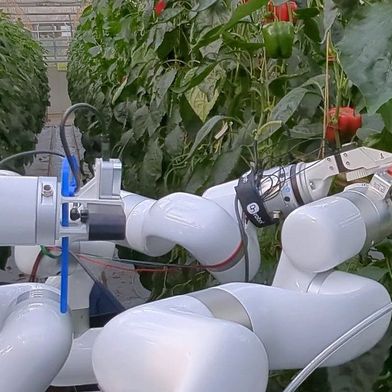 Forschende der Universität Bonn entwickeln im Projekt „AgriLoop“ ein System, das Gewächshausroboter über natürliche Sprache steuern und Pflanzenbestände dreidimensional erfassen soll. (Bild: Universität Bonn)