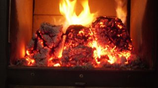 Briketts werden derzeit unter anderem aus hochwertigem Waldholz gepresst. Grünschnitt-Briketts stellen eine ressourcenschonende Alternative dar. (Bild: Hochschule Ruhr West)