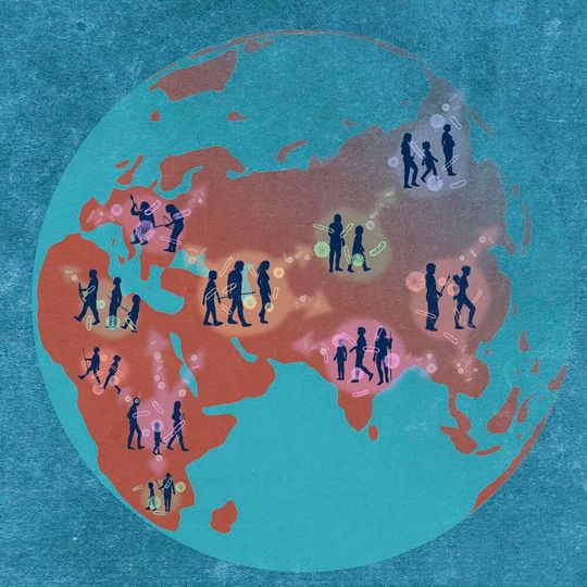 Darmmikroben verbreiten sich mit ihren menschlichen Wirten über den Globus. Darmmikroben verbreiten sich mit ihren menschlichen Wirten über den Globus.