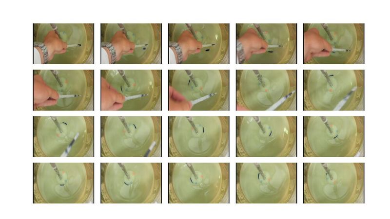 Figure 4: Movement of droplet over the first 1.9 s after dye addition. (Source: Syngenta)
