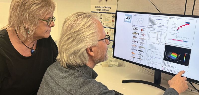 Rita Triebskorn und Heinz Köhler bei der Arbeit mit dem KI-gestützten BCFpro-Programm, mit dem der Biokonzentrationsfaktor (BCF) zur Anreicherung von Chemikalien in Fischen theoretisch erhoben wird. (Bild:  Institut für Evolution und Ökologie/Universität Tübingen)