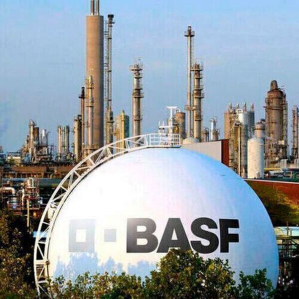 Currently, 684 employees work for BASF in Russia and in Belarus.  (BASF )