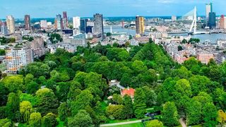 The risk of suffering an ischaemic stroke, the most common type of cerebrovascular event, is 16 percent less in people who have green spaces less than 300 metres from their homes. (Public Domain)