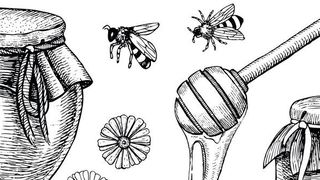 Ein Honeypot immitiert in der IT-Security ein Angriffsziel, um Bösewichte zu überführen oder Angriffsmuster zu analysieren. (Maria.Epine - stock.adobe.com)