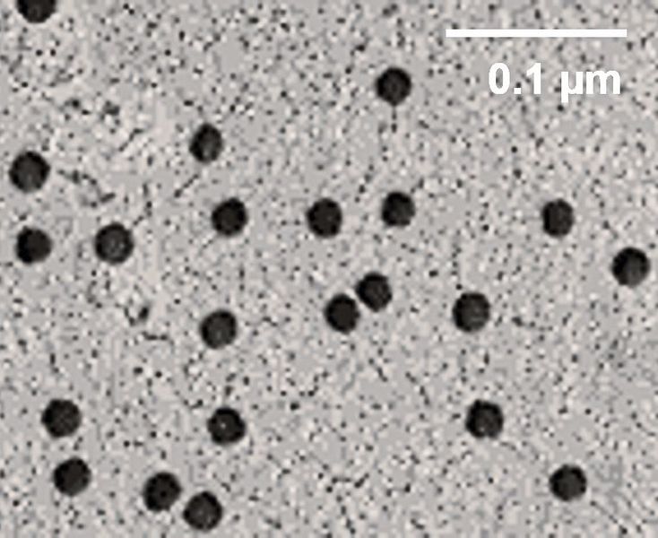Rasterelektronenmikroskopische Aufnahme der Oberfläche der Polymerfolie mit Nanoporen. (TU Darmstadt)
