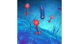 Bakteriophagen, kurz: Phagen, sind im biologischen Sinn Viren, die jedoch nur Bakterien angreifen und auflösen. Sie könnten als Alternative zu Antibiotika eine wichtige Rolle bei der Bekämpfung multiresistenter Keime spielen.  (© nobeastsofierce - Fotolia)