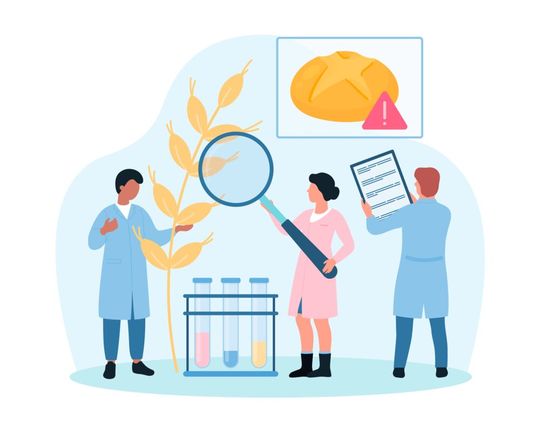 Gluten macht manchen Menschen zu schaffen. Um Zöliakie-Erkrankten sichere, d. h. glutenfreie Lebensmittel zu gewährleisten, wurde ein neues mobiles Messgerät entwickelt (Symbolbild).(Bild: ©  Flash Vector - stock.adobe.com)