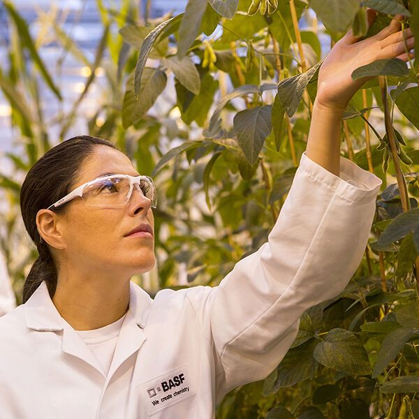Board kooperiert ab sofort mit BASF Agricultural Solutions.